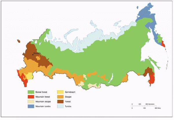 климатические зоны россии