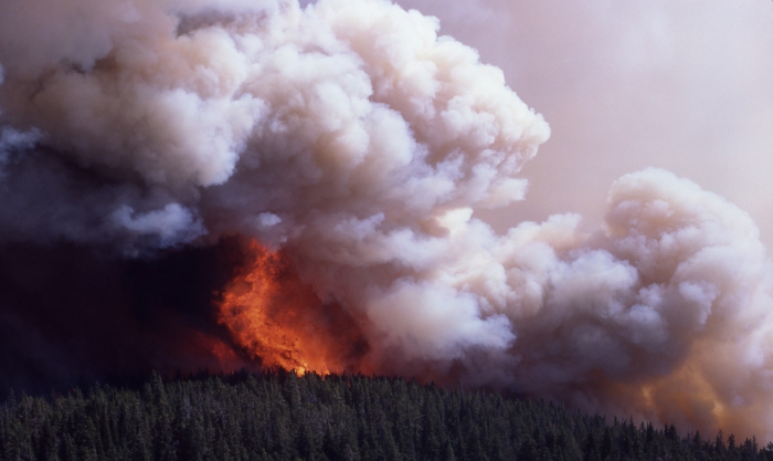 классификация природных пожаров