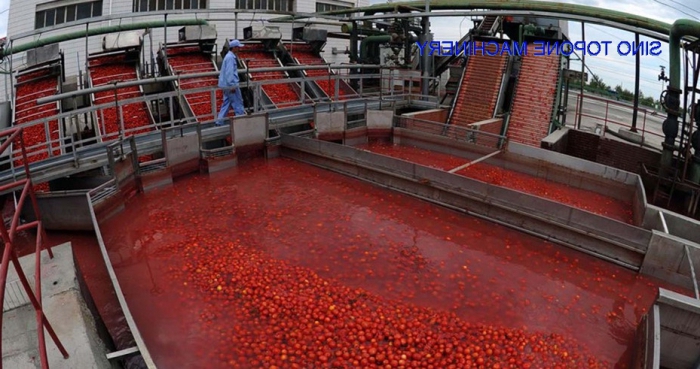технология производства томатной пасты