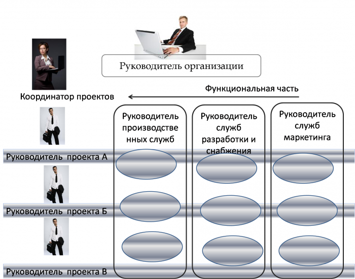 структура управления организацией 
