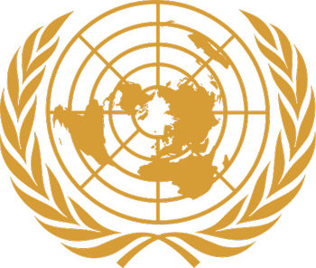 основные принципы международного права