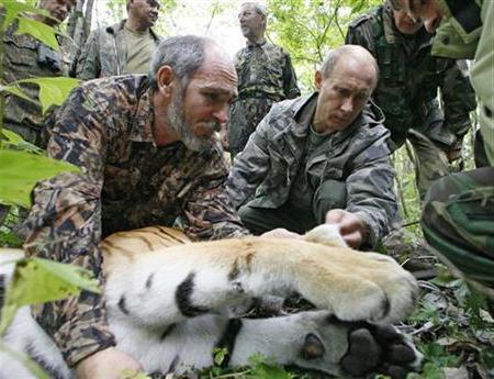 проблемы браконьерства в россии и пути решения