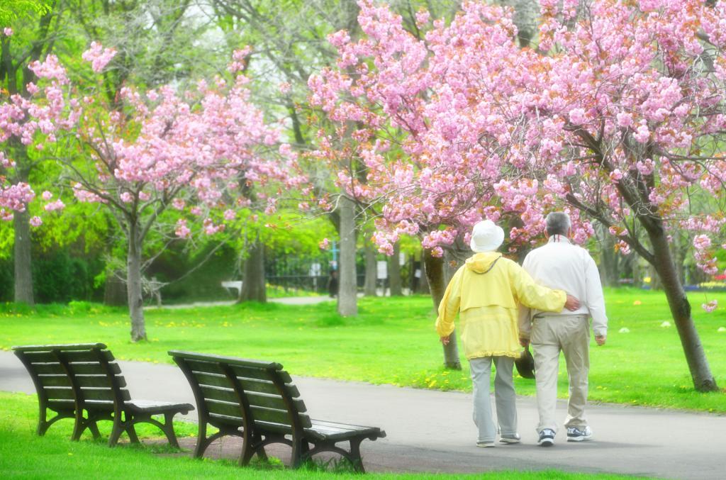 пенсия в Японии по старости