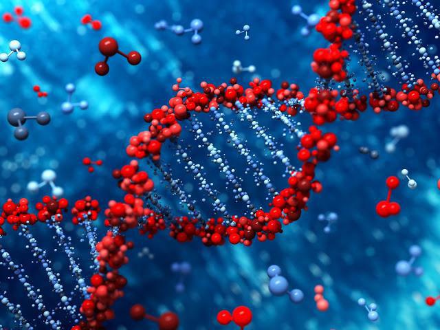Картинки по запросу Открыта уникальность ДНК — «генетические отпечатки»