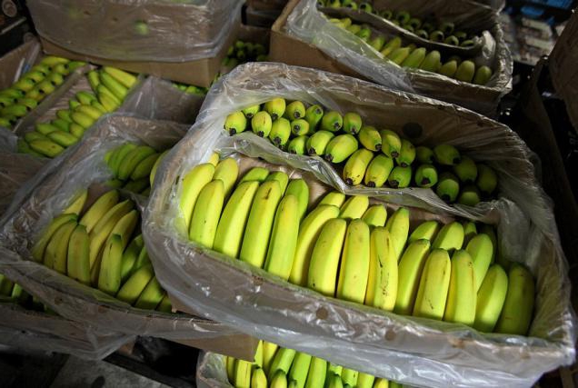 перевозка бананов