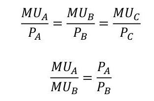 правило максимизации полезности формула