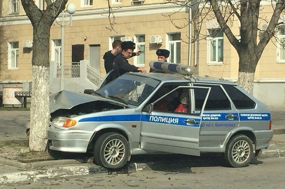 осмотр и досмотр в чем разница