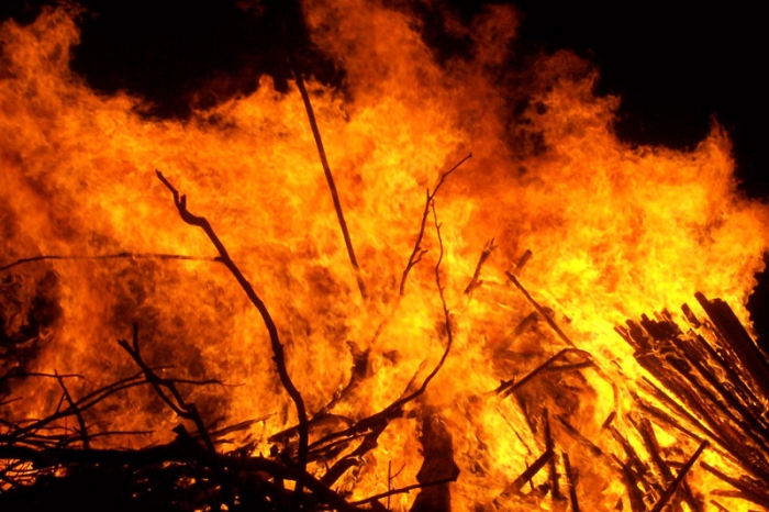 Поражающие факторы лесного пожара