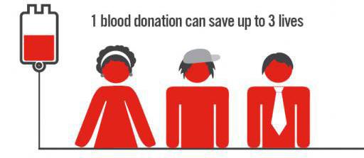 Сдача крови на донорство правила оплата
