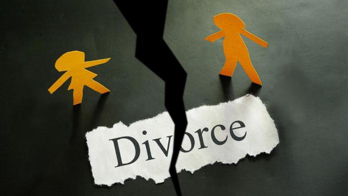 сколько стоит развод в загсе 