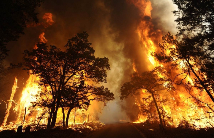 классификация и характеристика пожаров