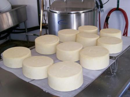 материальный баланс производства сыра