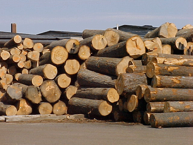 переработка древесины