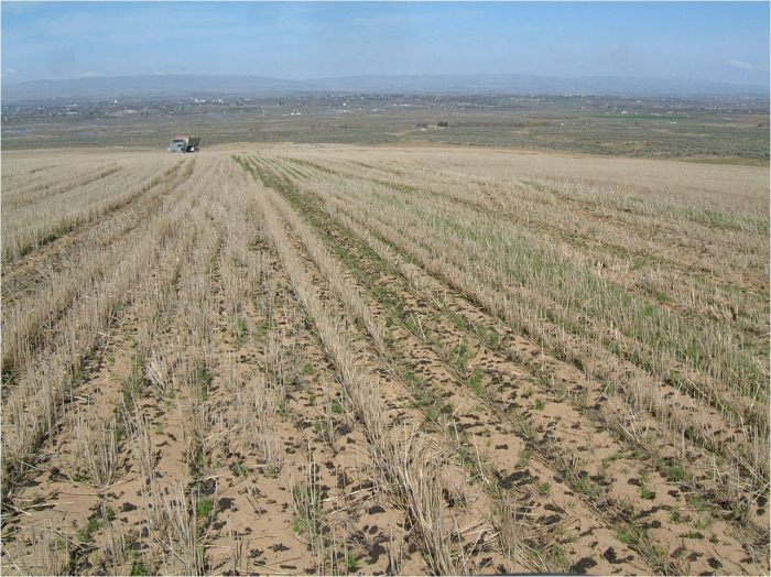 использование земель сельскохозяйственного назначения 