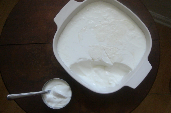 Выбор оборудования для производства йогурта