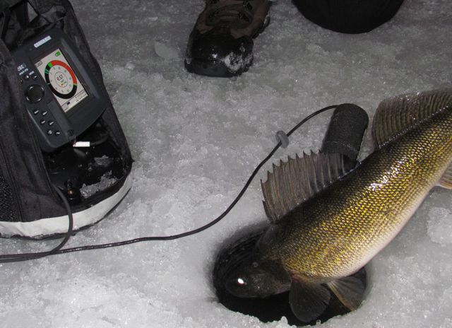 как выбрать эхолот для зимней рыбалки 