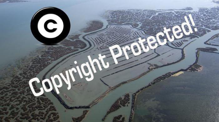 защита авторских прав в интернете