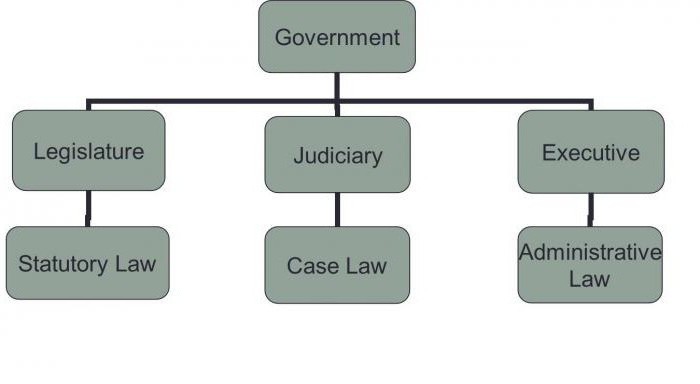 функции управления административное право