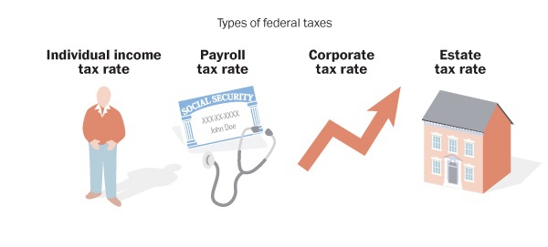 виды налоговых ставок