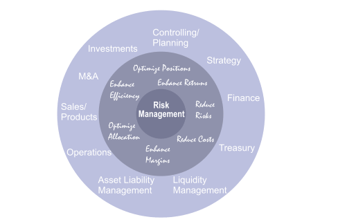 оценка системы управления рисками