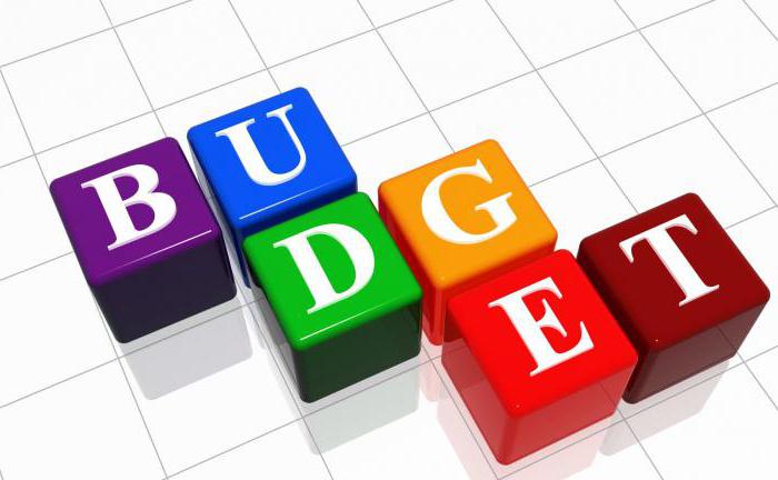 субъекты бюджетного права