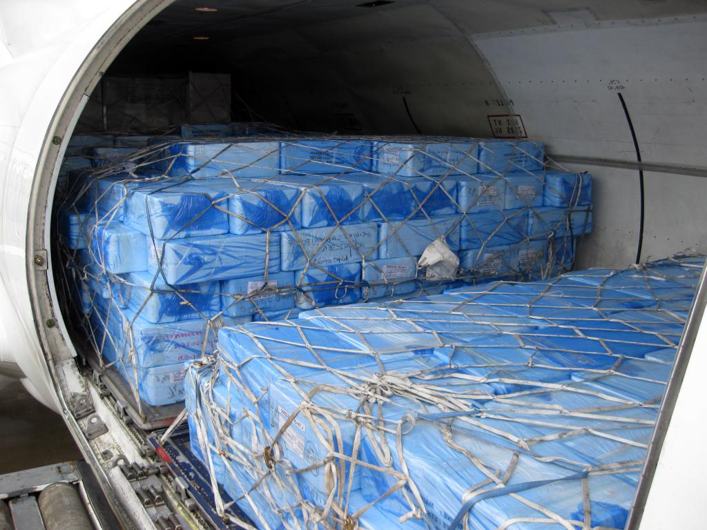 Перевозка скоропортящихся грузов воздушным транспортом