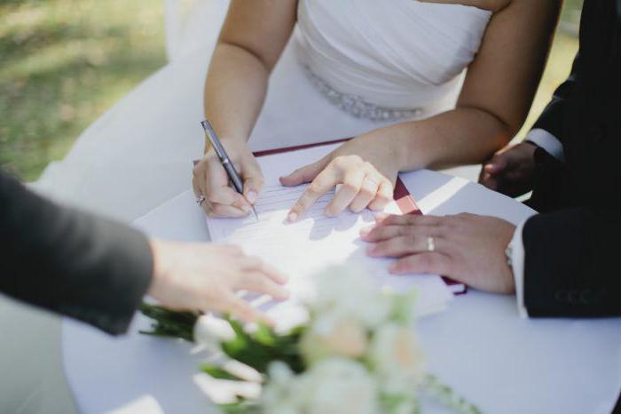 брачный договор контракт