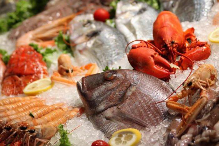 Лучшие рыбные рестораны в Москве рейтинг