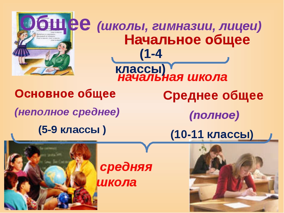 структура образования в РФ