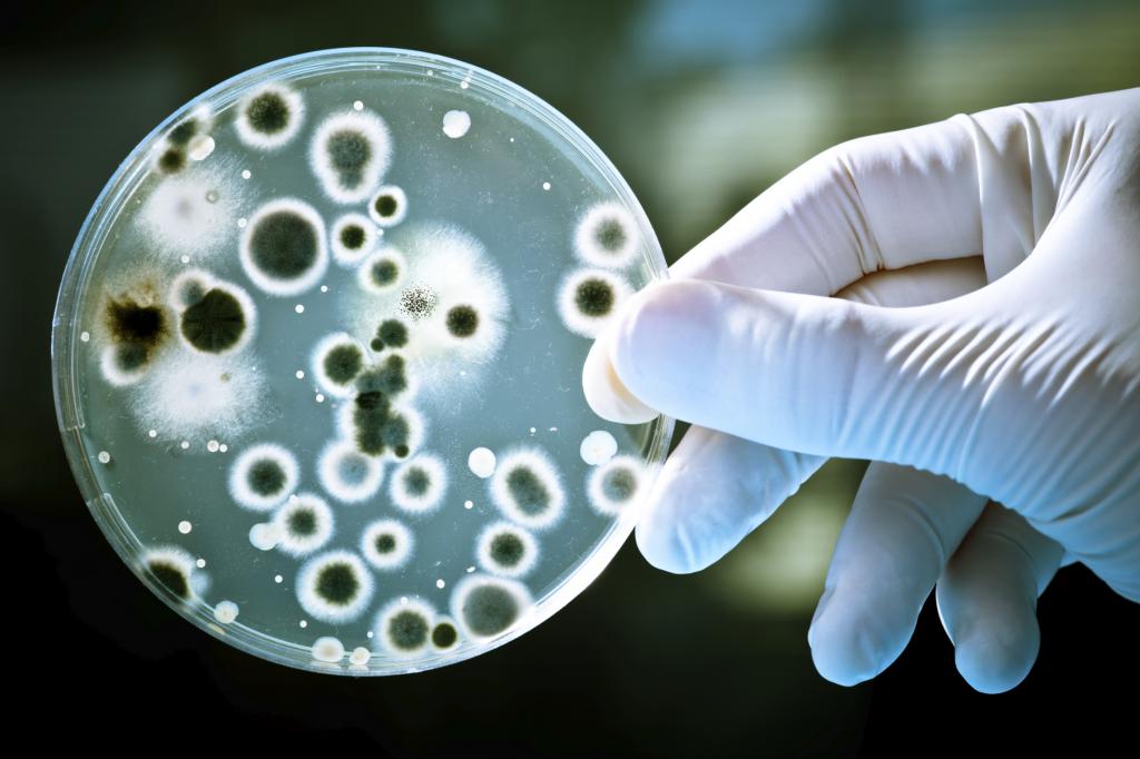 Классификация патогенных микроорганизмов 27