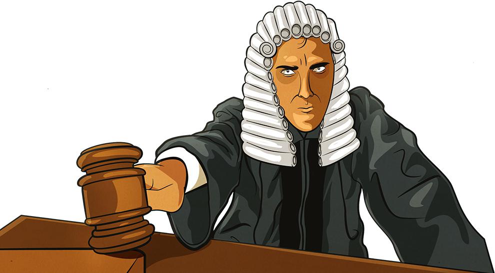 права и обязанности судей