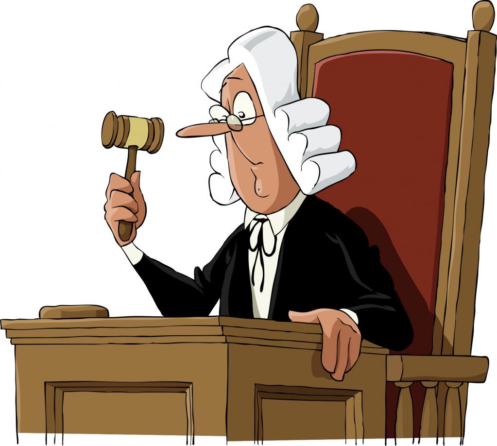 основные права и обязанности судьи