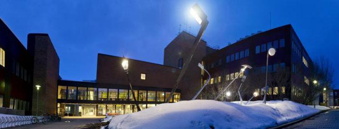 норвегия университеты для иностранцев
