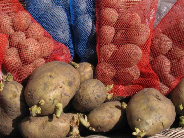 документальное оформление закупки картофеля у населения