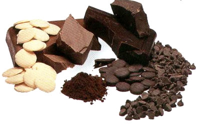 выбор оборудования для производства шоколада