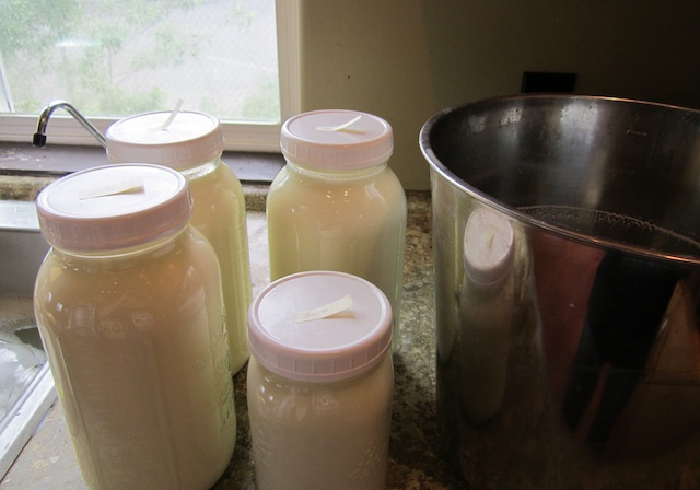 Домашнее молоко - ценный продукт