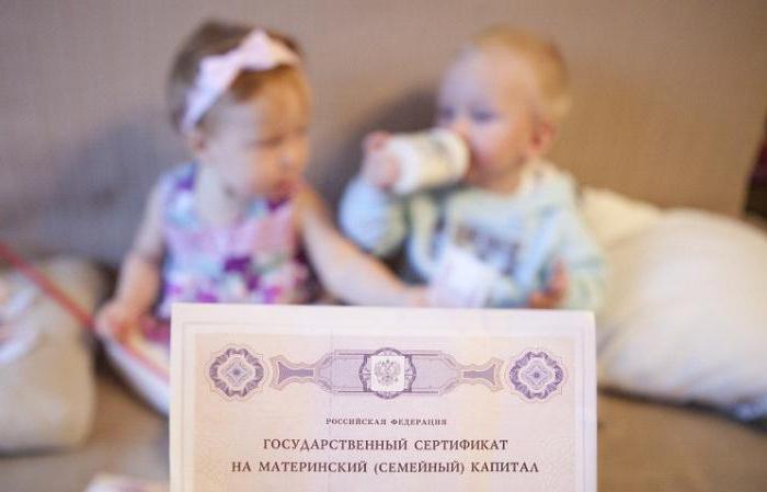 региональный материнский сертификат