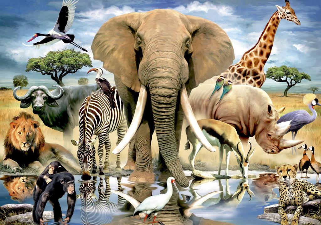 Многообразие животного мира