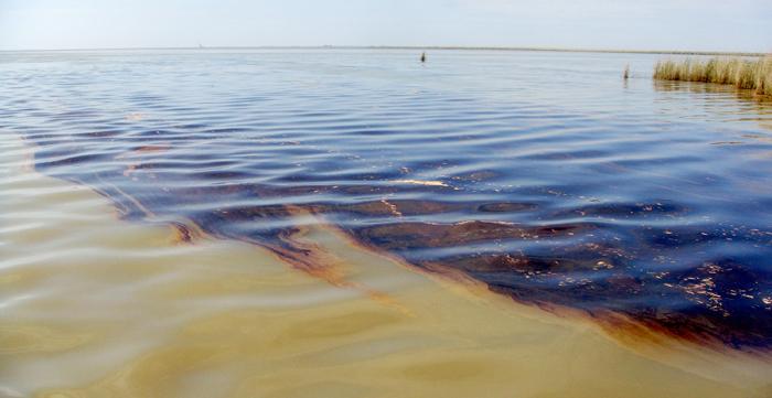 нефтяное загрязнение водоемов