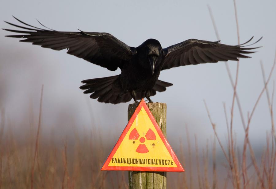 Предупреждающий радиационный знак