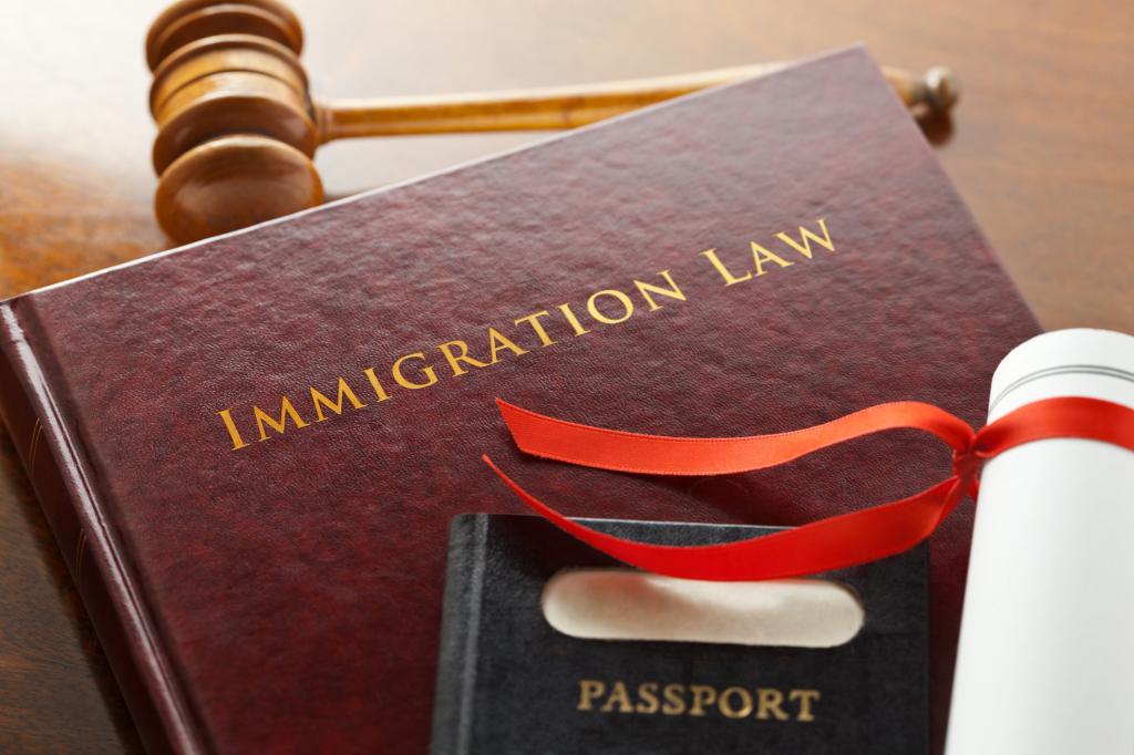 Книга по иммиграционному закону