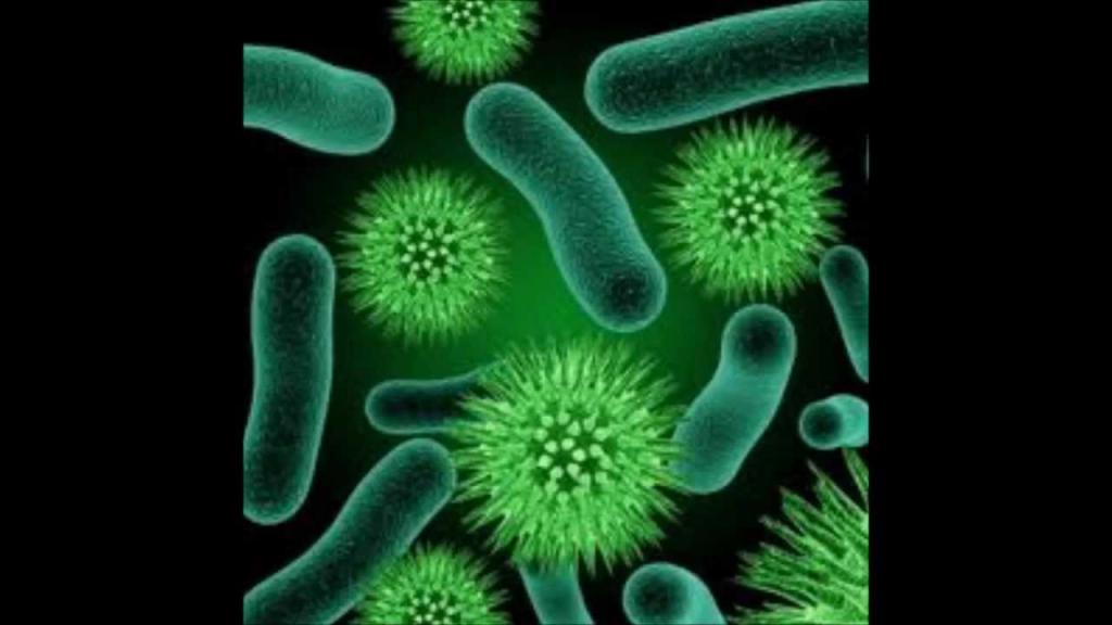 Вредные микроорганизмы