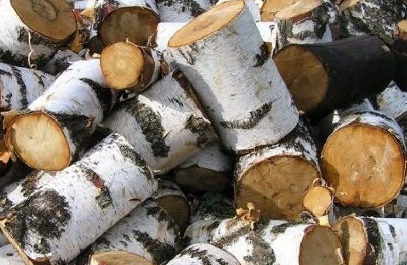 Как правильно печь топить дровами и углем?