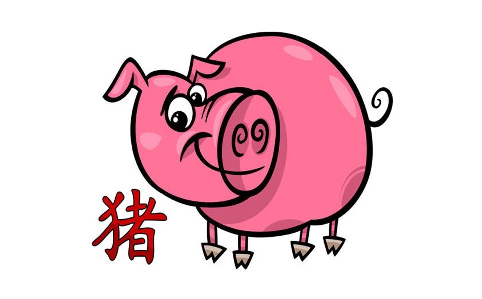 Год свиньи человек. Свинья знак. Свинья китайский Зодиак. Символ года свинья. Знак китайского зодиака свинья.