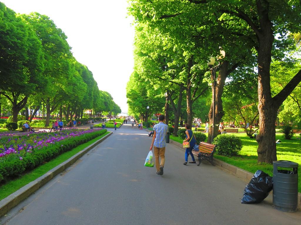 Центральный парк в москве