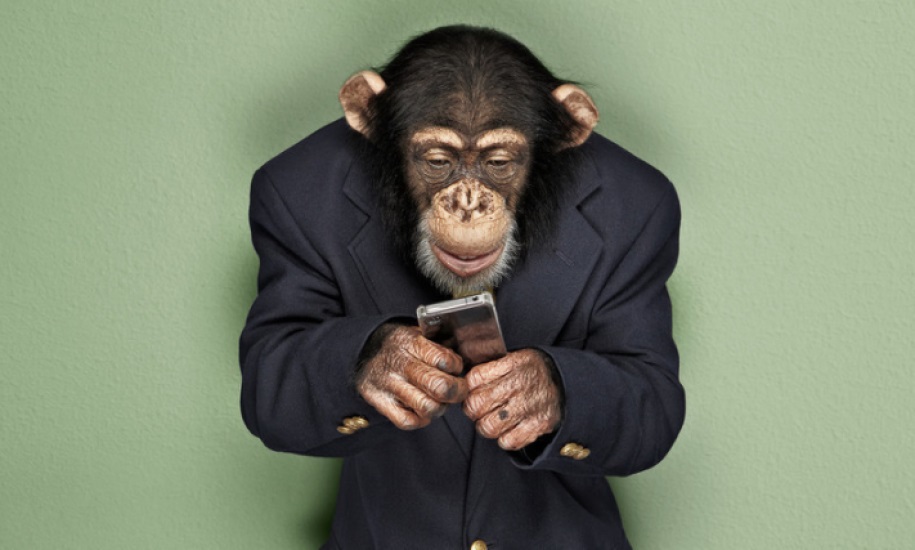Шимпанзе в костюме